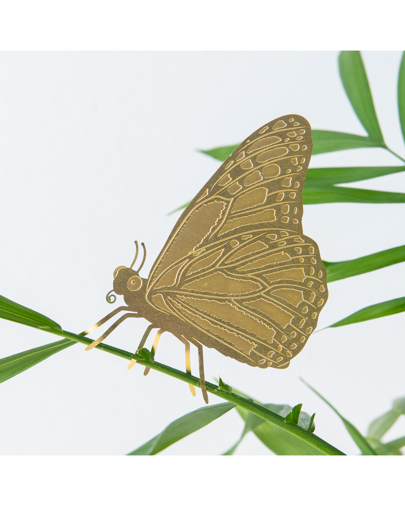 Plant Animal - Butterfly – thoughtful gifts and beautiful finds from C&K, an independent lifestyle store in Settle.