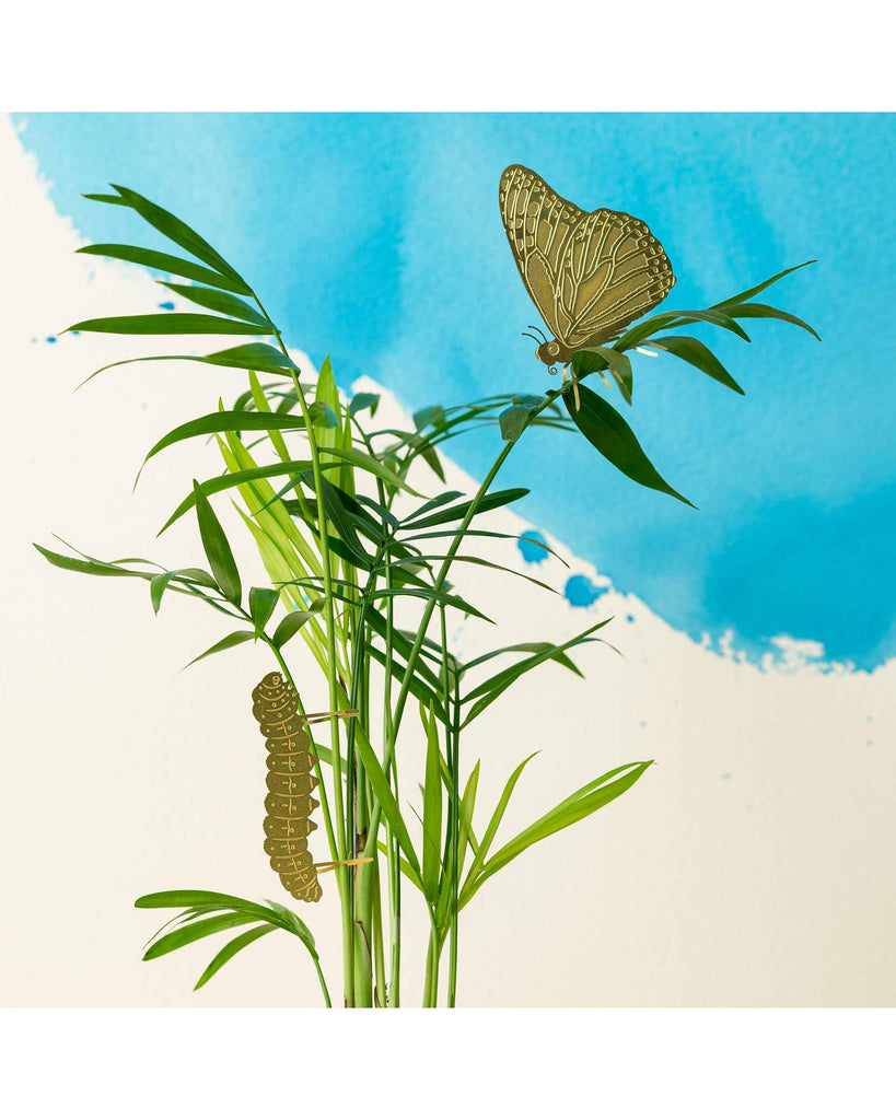 Plant Animal - Butterfly – thoughtful gifts and beautiful finds from C&K, an independent lifestyle store in Settle.