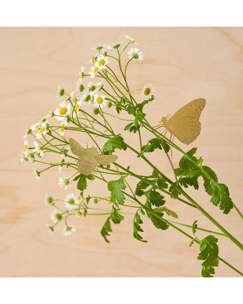 Plant Animal - Butterfly – thoughtful gifts and beautiful finds from C&K, an independent lifestyle store in Settle.