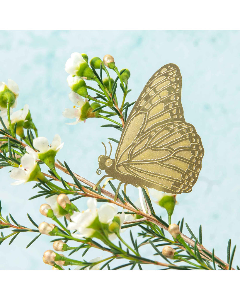Plant Animal - Butterfly – thoughtful gifts and beautiful finds from C&K, an independent lifestyle store in Settle.