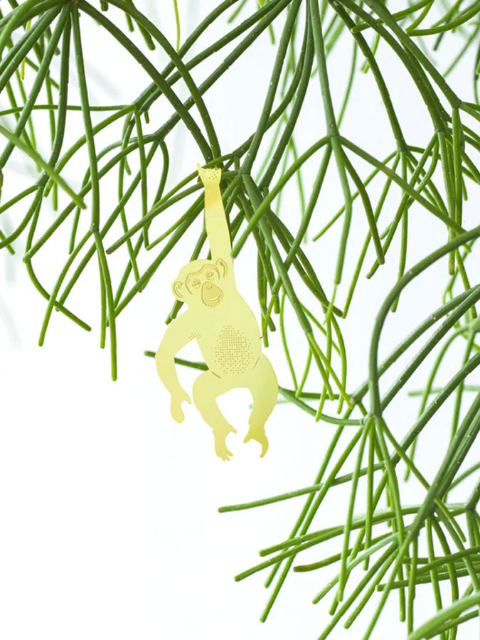 Plant Animal - Chimpanzee – thoughtful gifts and beautiful finds from C&K, an independent lifestyle store in Settle.