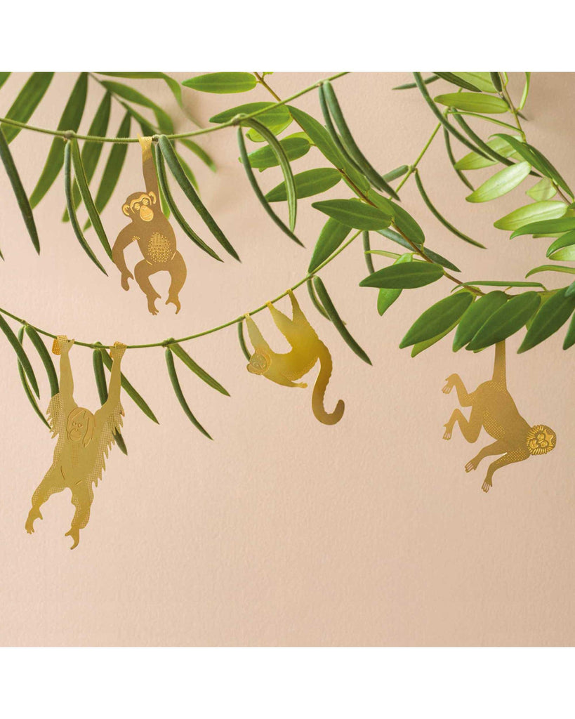 Plant Animal - Chimpanzee – thoughtful gifts and beautiful finds from C&K, an independent lifestyle store in Settle.