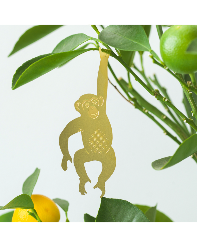 Plant Animal - Chimpanzee – thoughtful gifts and beautiful finds from C&K, an independent lifestyle store in Settle.
