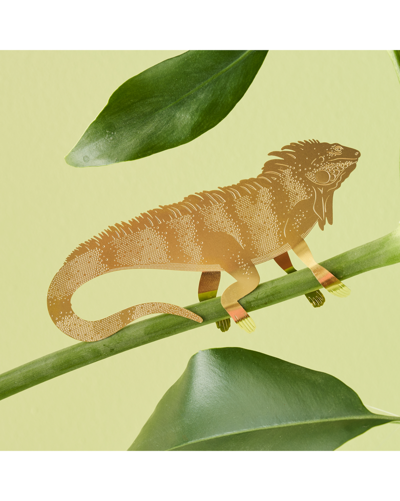 Plant Animal Iguana large – thoughtful gifts and beautiful finds from C&K, an independent lifestyle store in Settle.