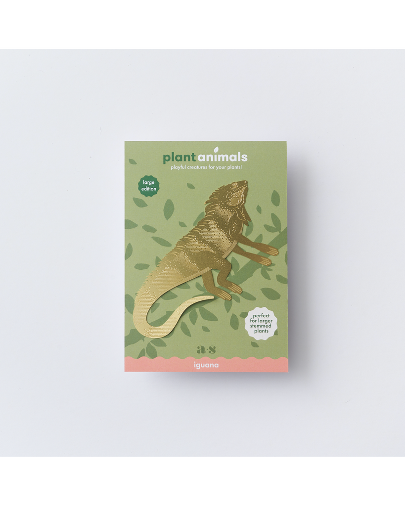 Plant Animal Iguana large – thoughtful gifts and beautiful finds from C&K, an independent lifestyle store in Settle.