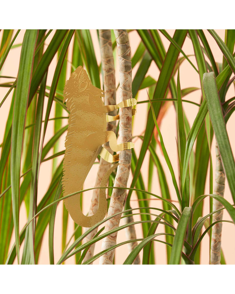 Plant Animal Iguana large – thoughtful gifts and beautiful finds from C&K, an independent lifestyle store in Settle.
