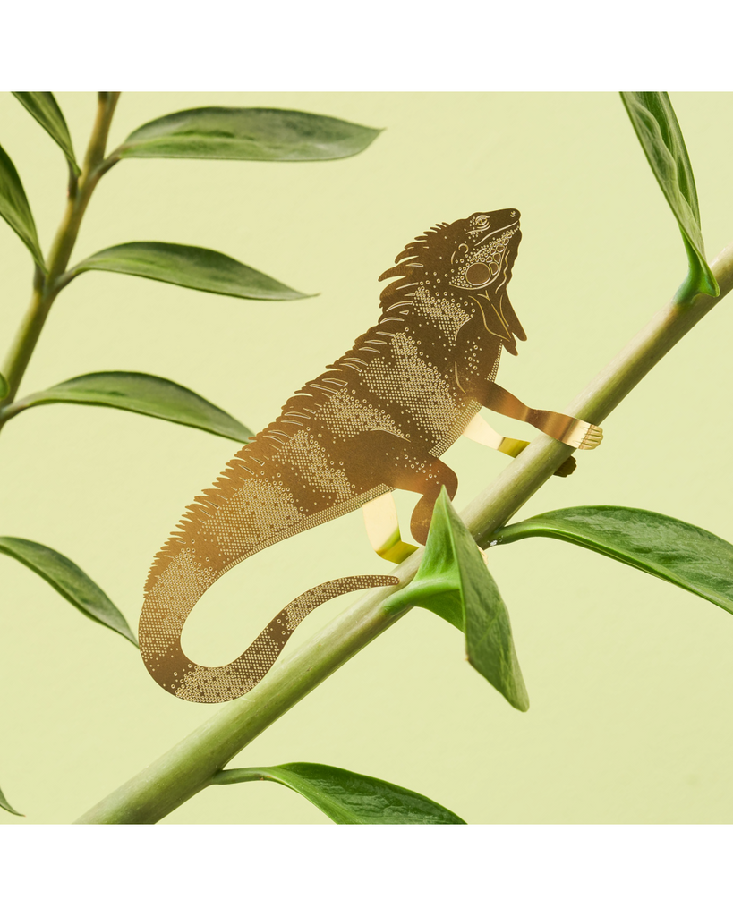 Plant Animal Iguana large – thoughtful gifts and beautiful finds from C&K, an independent lifestyle store in Settle.