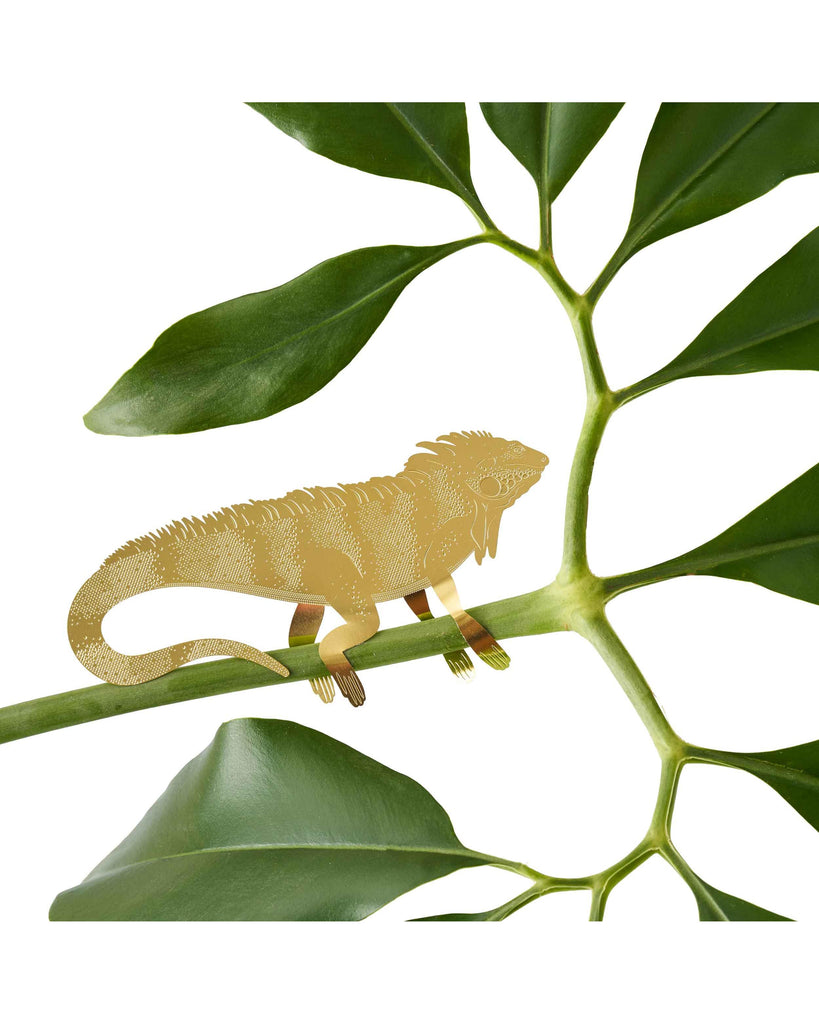 Plant Animal Iguana large – thoughtful gifts and beautiful finds from C&K, an independent lifestyle store in Settle.