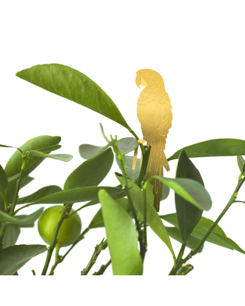 Plant Animal - Parrot – thoughtful gifts and beautiful finds from C&K, an independent lifestyle store in Settle.