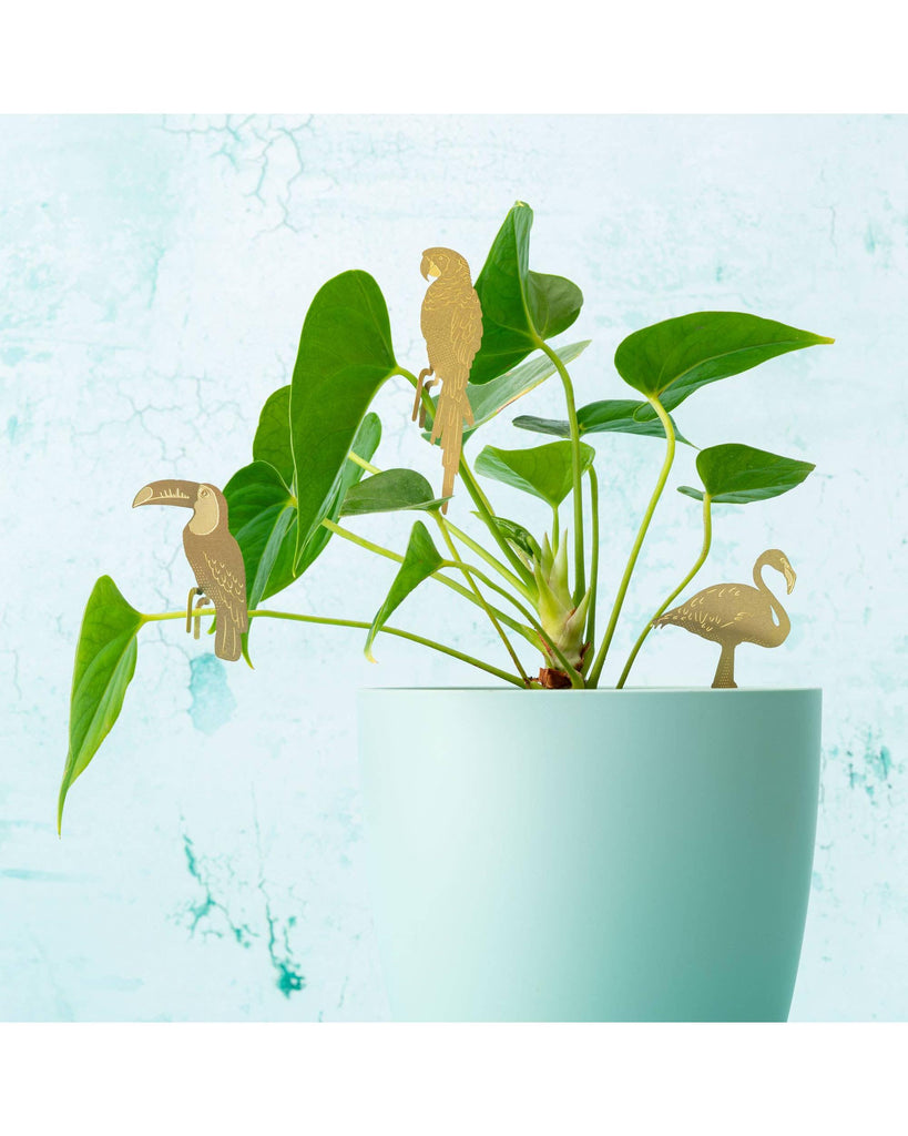 Plant Animal - Parrot – thoughtful gifts and beautiful finds from C&K, an independent lifestyle store in Settle.