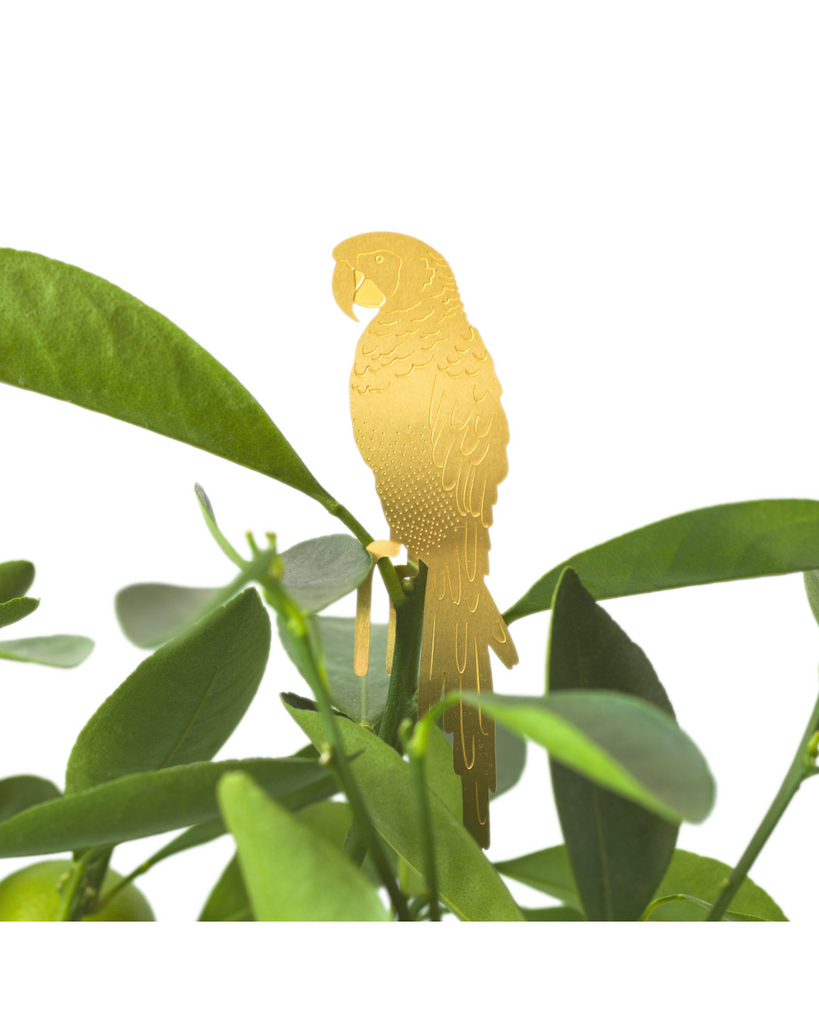 Plant Animal - Parrot – thoughtful gifts and beautiful finds from C&K, an independent lifestyle store in Settle.