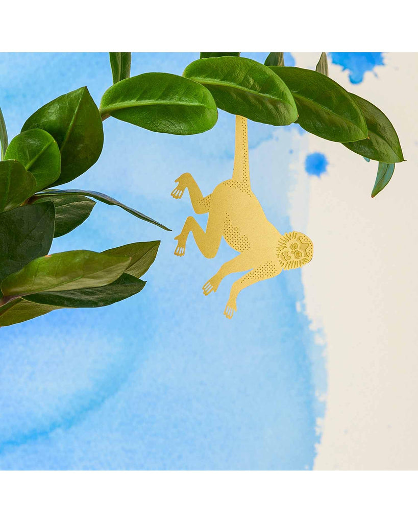 Plant Animal - Spider Monkey – thoughtful gifts and beautiful finds from C&K, an independent lifestyle store in Settle.