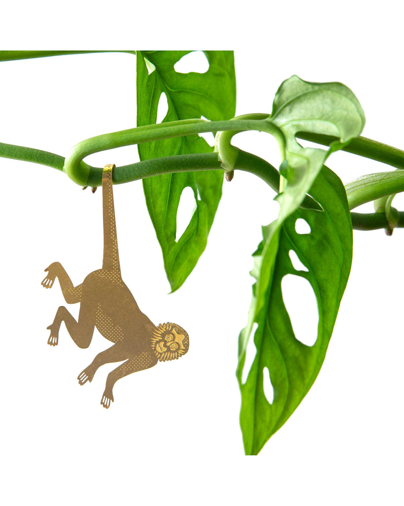Plant Animal - Spider Monkey – thoughtful gifts and beautiful finds from C&K, an independent lifestyle store in Settle.