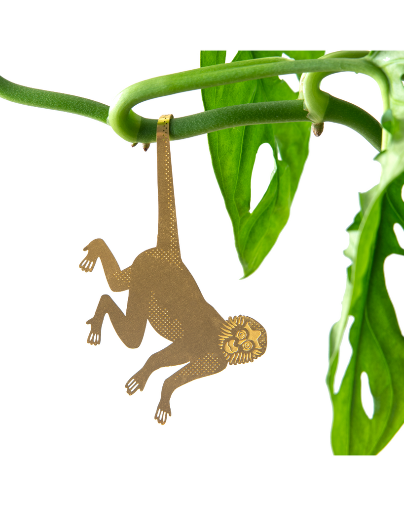Plant Animal - Spider Monkey – thoughtful gifts and beautiful finds from C&K, an independent lifestyle store in Settle.
