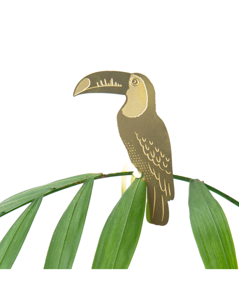 Plant Animal - Toucan – thoughtful gifts and beautiful finds from C&K, an independent lifestyle store in Settle.