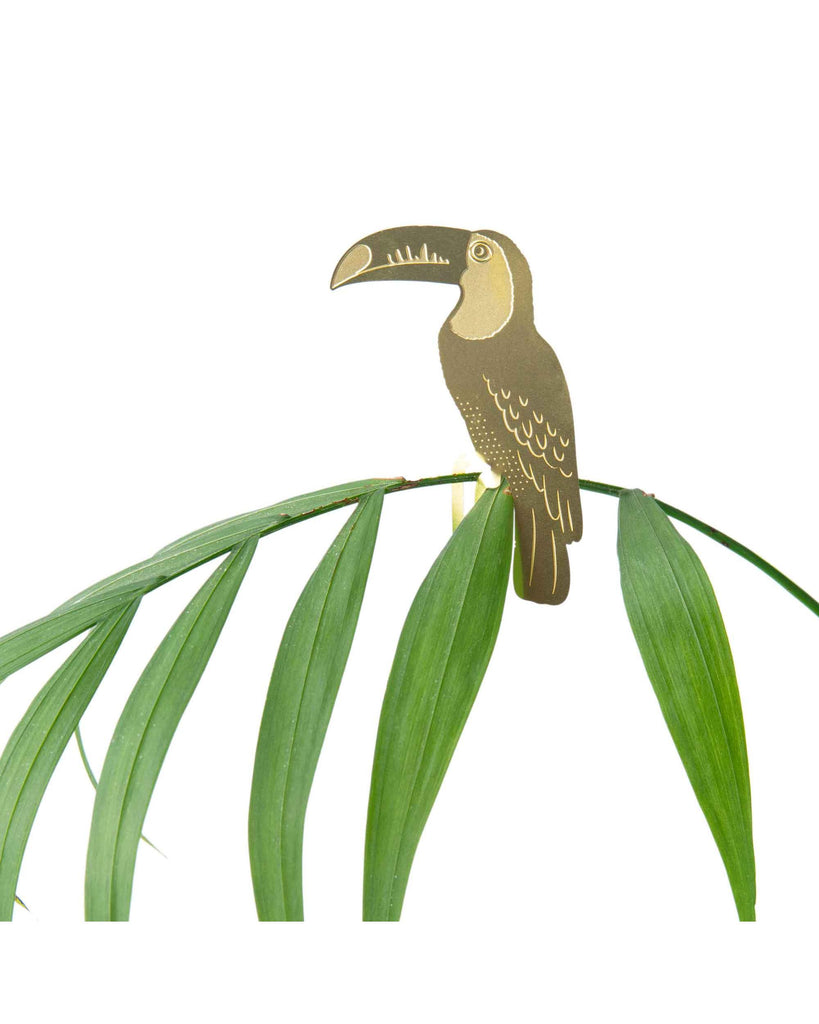 Plant Animal - Toucan – thoughtful gifts and beautiful finds from C&K, an independent lifestyle store in Settle.