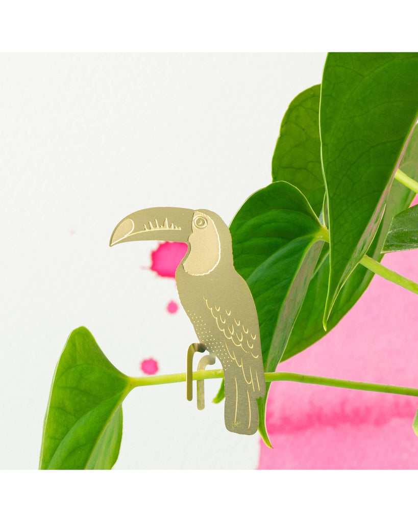 Plant Animal - Toucan – thoughtful gifts and beautiful finds from C&K, an independent lifestyle store in Settle.