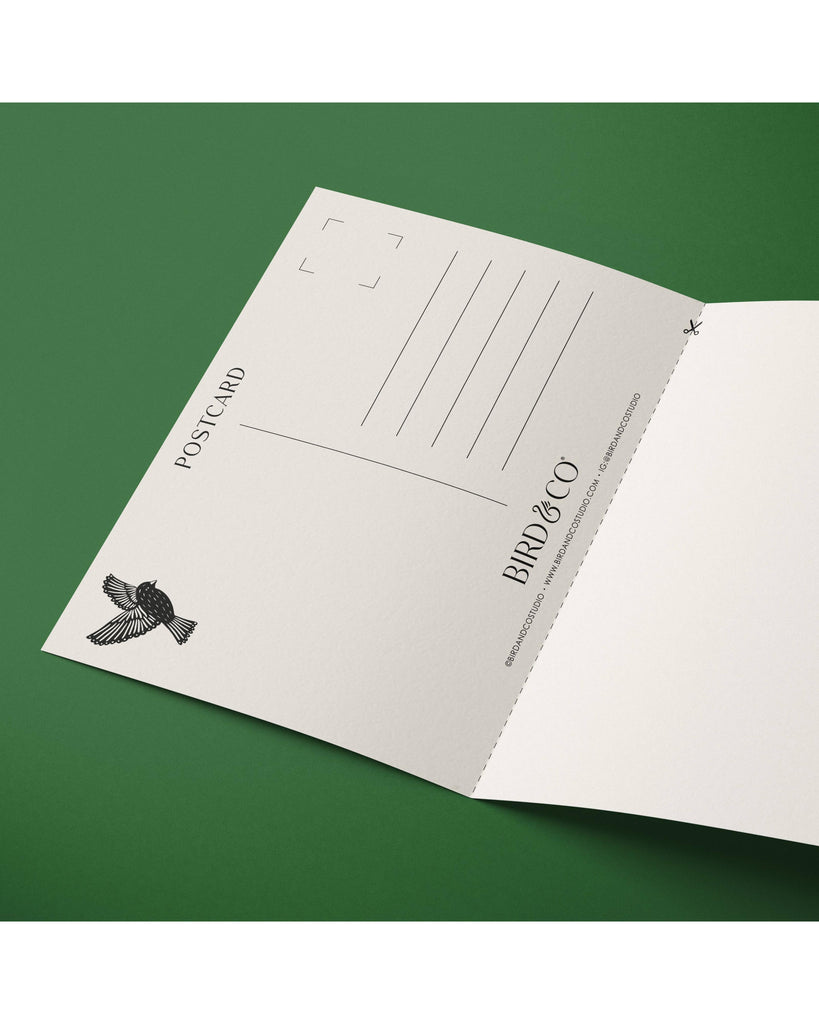 Corn Poppy Card – beautiful greeting card from C&K, an independent lifestyle store in Settle.