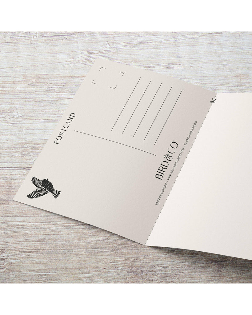 July Larkspur | Birth Flower Card – beautiful greeting card from C&K, an independent lifestyle store in Settle.