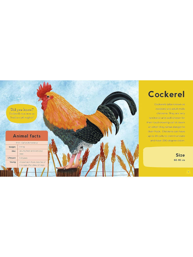 {{ product_title }} – imaginative toys and games by C&K, independent lifestyle store in North Yorkshire.