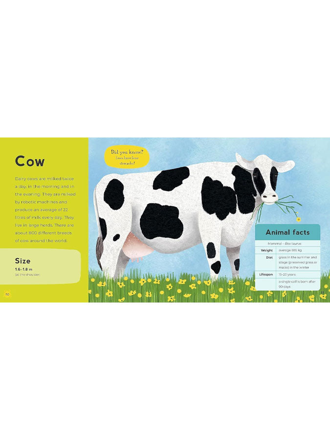 {{ product_title }} – imaginative toys and games by C&K, independent lifestyle store in North Yorkshire.