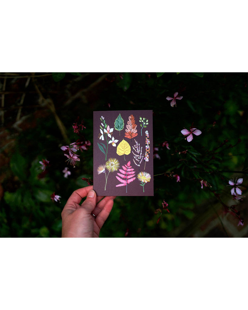 Autumn Begins Greetings Card – beautiful greeting card from C&K, an independent lifestyle store in Settle.