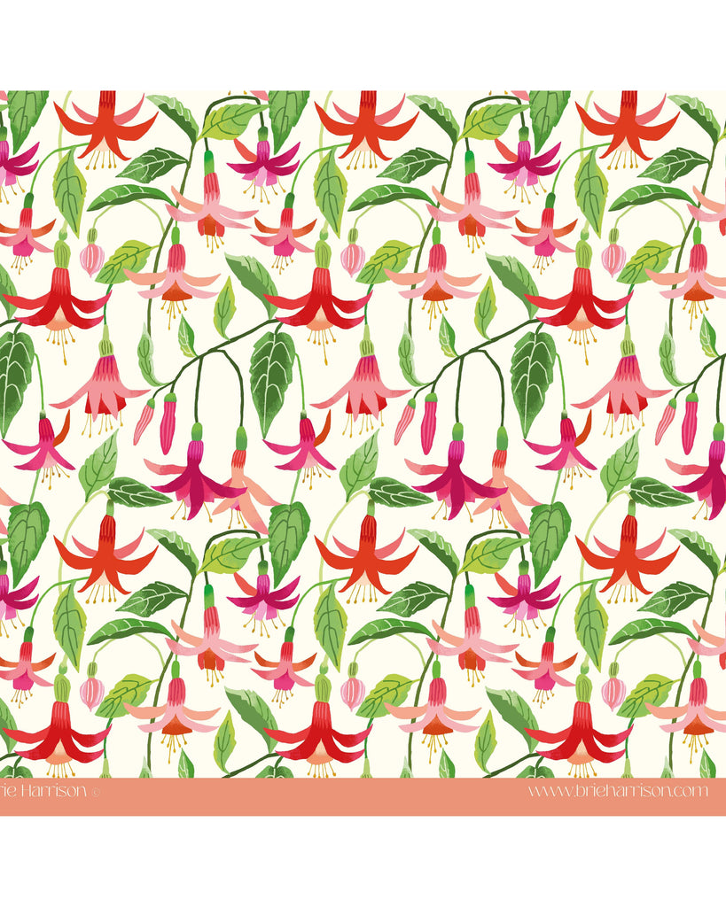 Fuchsia Gift Wrap – beautiful greeting card from C&K, an independent lifestyle store in Settle.