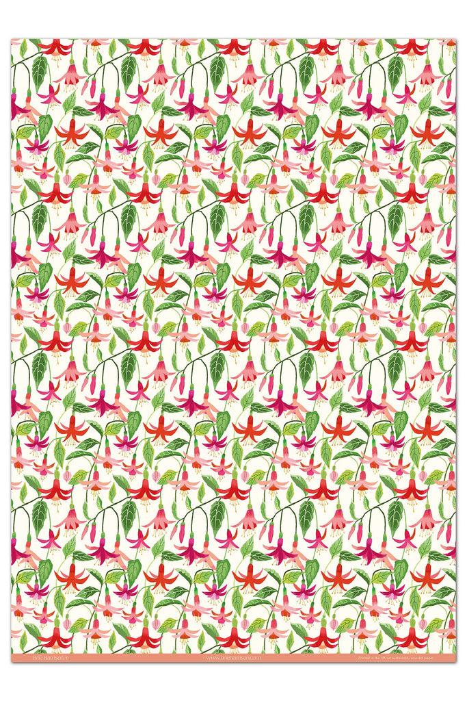 Fuchsia Gift Wrap – beautiful greeting card from C&K, an independent lifestyle store in Settle.