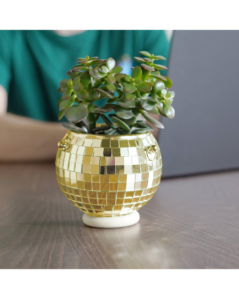 Disco Ball Hanging Planter - Gold (4inches) – thoughtful gifts and beautiful finds from C&K, an independent lifestyle store in Settle.