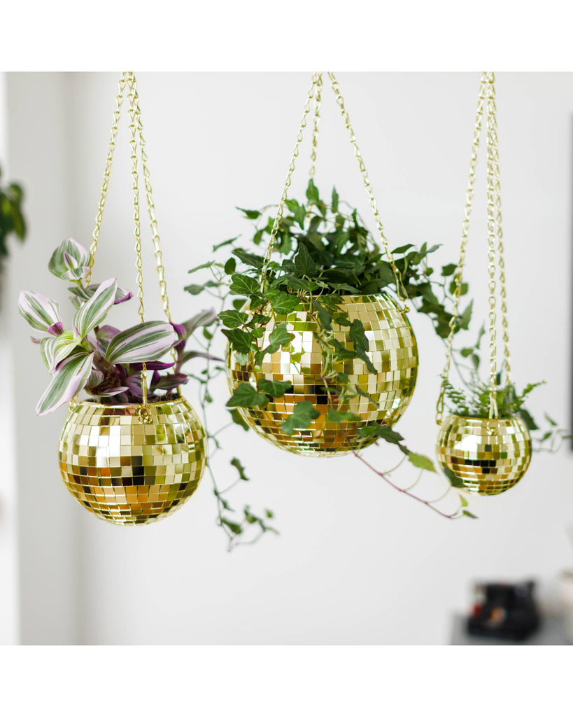 Disco Ball Hanging Planter - Gold (4inches) – thoughtful gifts and beautiful finds from C&K, an independent lifestyle store in Settle.