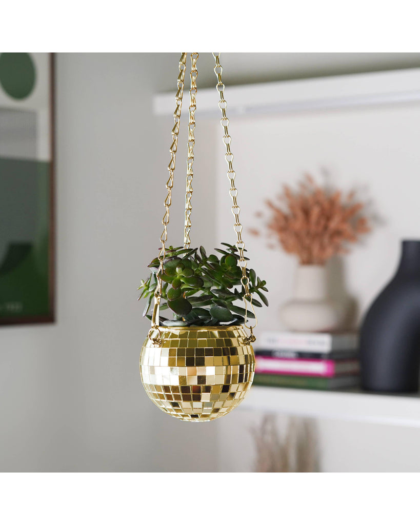 Disco Ball Hanging Planter - Gold (4inches) – thoughtful gifts and beautiful finds from C&K, an independent lifestyle store in Settle.