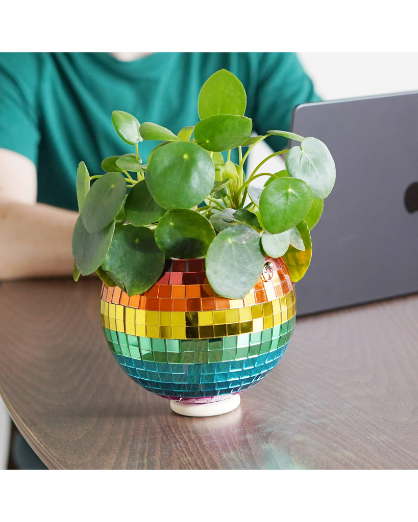 Disco Ball Hanging Planter - Rainbow (6 inches) – thoughtful gifts and beautiful finds from C&K, an independent lifestyle store in Settle.