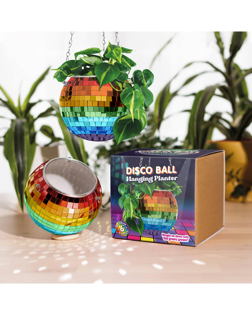 Disco Ball Hanging Planter - Rainbow (6 inches) – thoughtful gifts and beautiful finds from C&K, an independent lifestyle store in Settle.