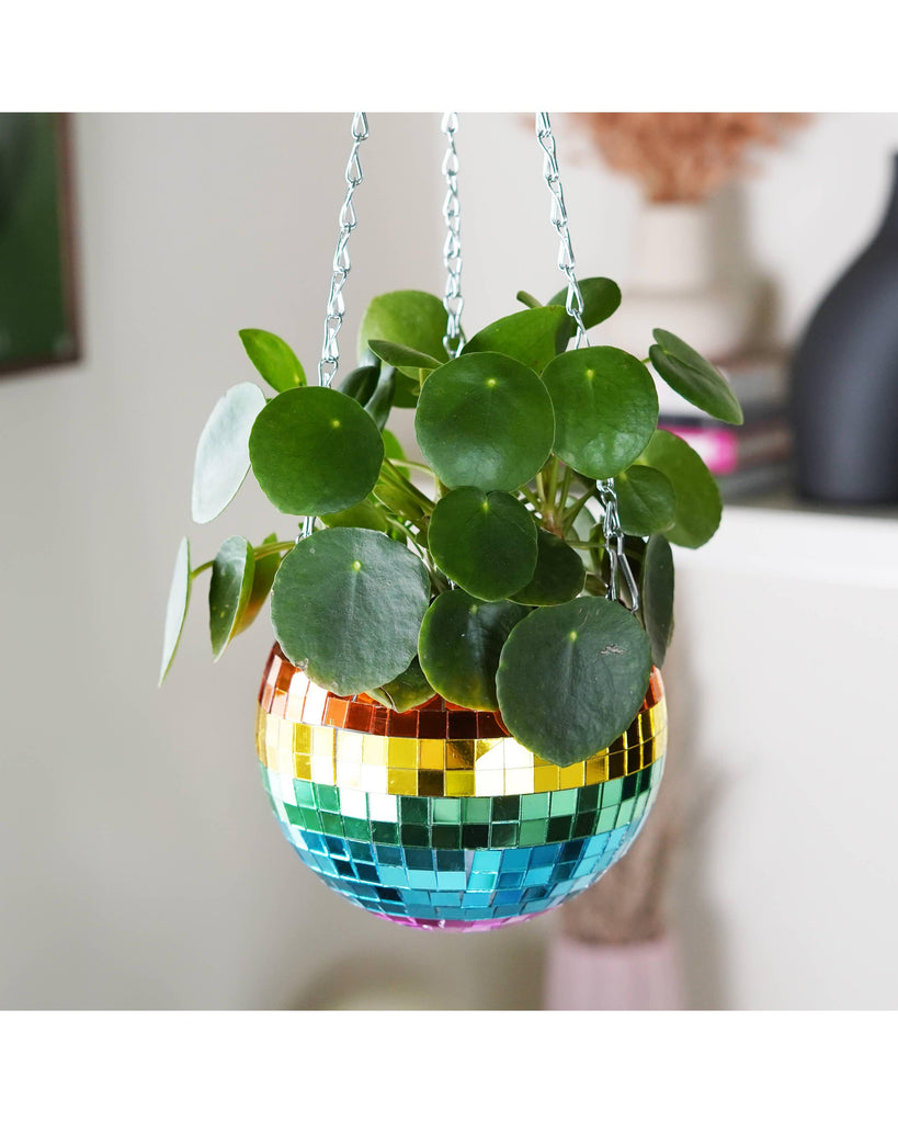 Disco Ball Hanging Planter - Rainbow (6 inches) – thoughtful gifts and beautiful finds from C&K, an independent lifestyle store in Settle.