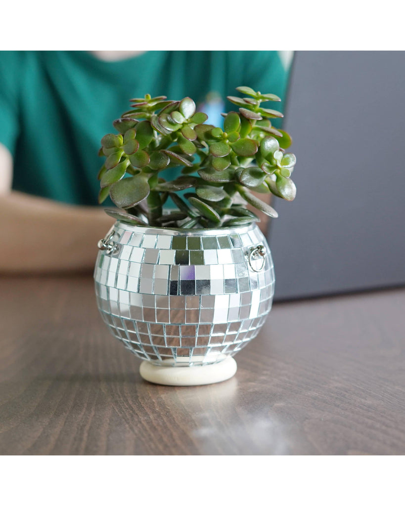 Disco Ball Hanging Planter - Silver (4 Inches) – thoughtful gifts and beautiful finds from C&K, an independent lifestyle store in Settle.