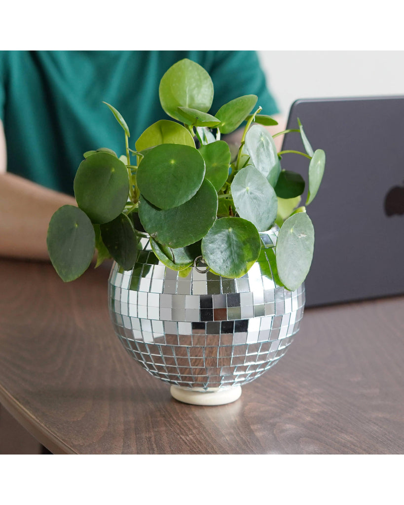 Disco Ball Hanging Planter - Silver (6 Inches) – thoughtful gifts and beautiful finds from C&K, an independent lifestyle store in Settle.