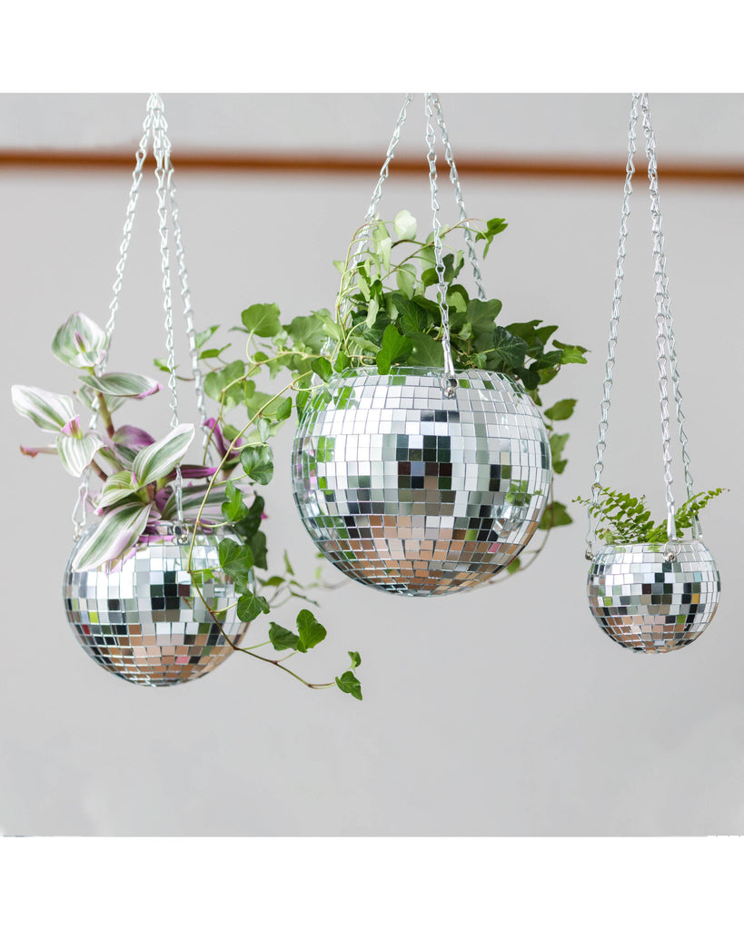 Disco Ball Hanging Planter - Silver (6 Inches) – thoughtful gifts and beautiful finds from C&K, an independent lifestyle store in Settle.