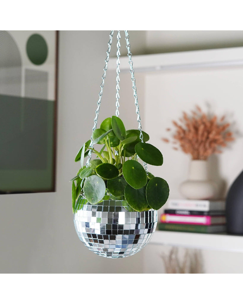 Disco Ball Hanging Planter - Silver (6 Inches) – thoughtful gifts and beautiful finds from C&K, an independent lifestyle store in Settle.