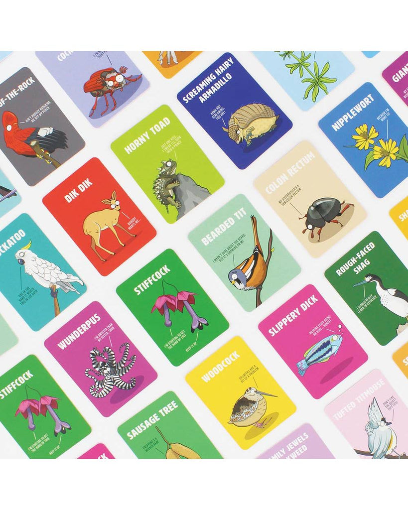 DON'T BE A DIK DIK – thoughtful gifts and beautiful finds from C&K, an independent lifestyle store in Settle.