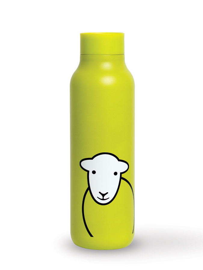 Hello Travel Flask Green – thoughtful gifts and beautiful finds from C&K, an independent lifestyle store in Settle.