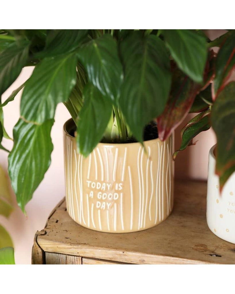 A Good Day Planter – thoughtful gifts and beautiful finds from C&K, an independent lifestyle store in Settle.