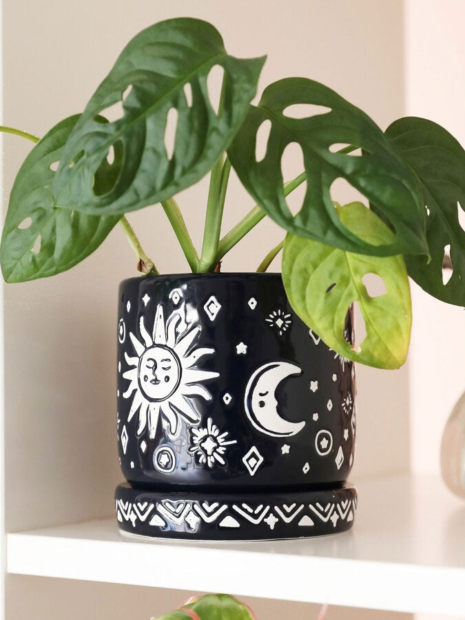 Midnight Blue Sun and Moon Planter – thoughtful gifts and beautiful finds from C&K, an independent lifestyle store in Settle.