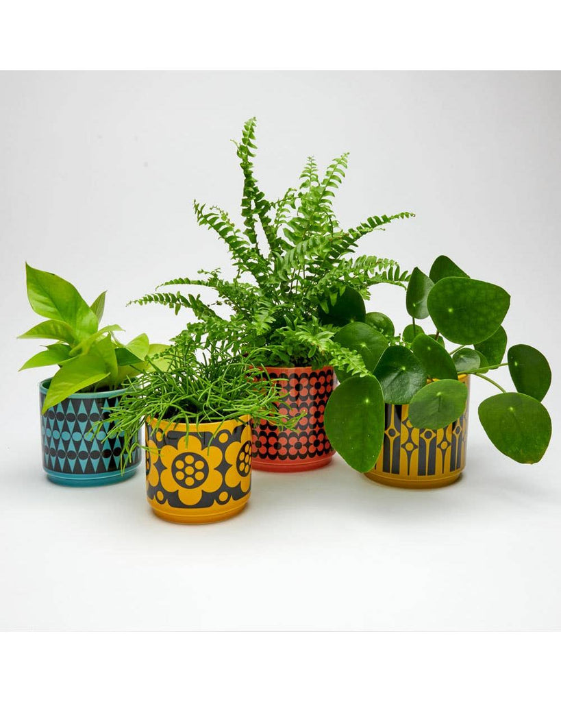 Magpie x Hornsea Small Planty - Plant Pot Geo Flower Yellow – thoughtful gifts and beautiful finds from C&K, an independent lifestyle store in Settle.