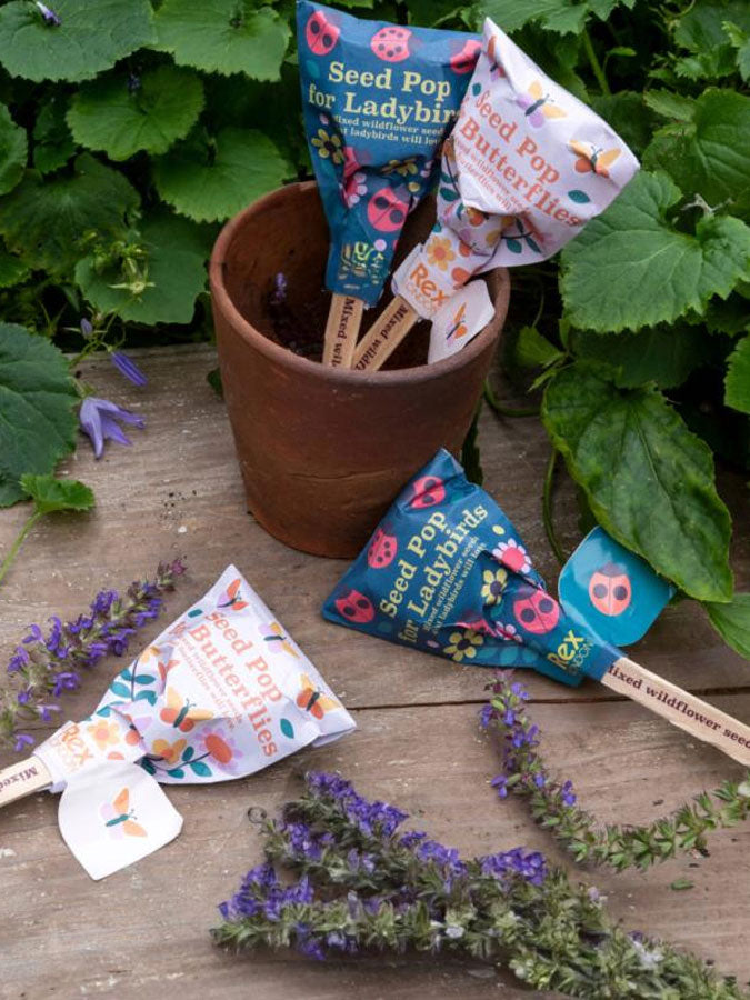 Seed Pops - Wildflower Seeds – thoughtful gifts and beautiful finds from C&K, an independent lifestyle store in Settle.