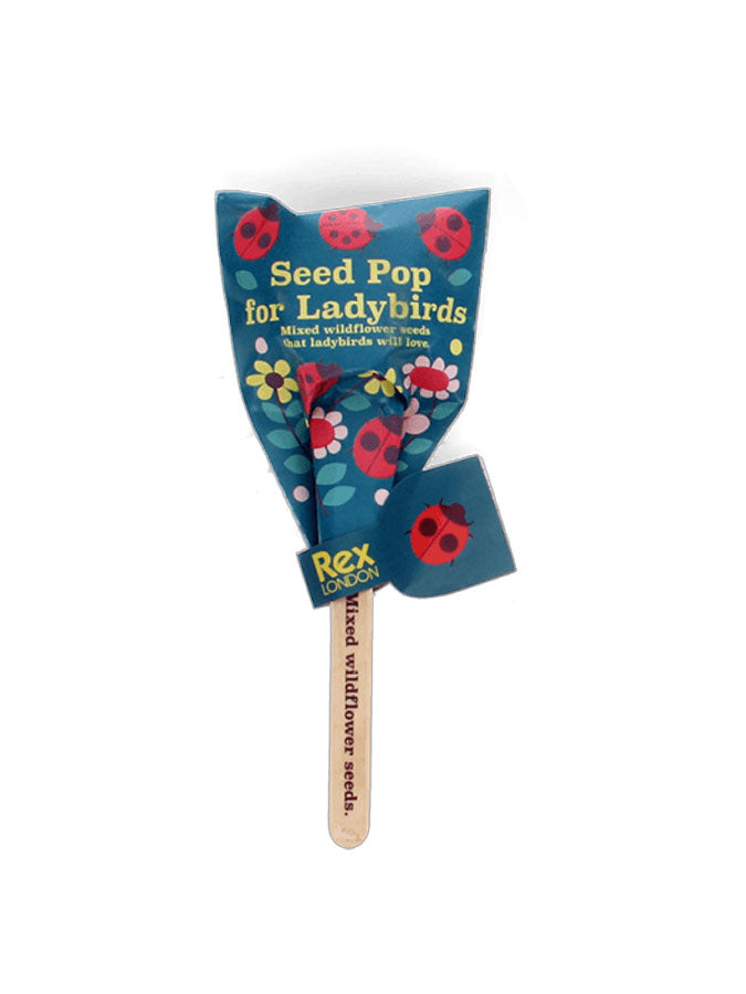 Seed Pops - Wildflower Seeds – thoughtful gifts and beautiful finds from C&K, an independent lifestyle store in Settle.