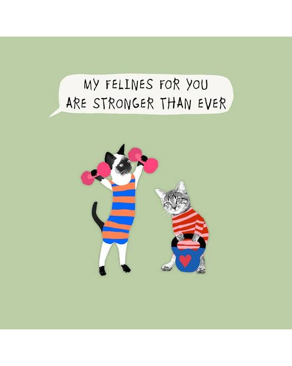 Strong Felines Card – beautiful greeting card from C&K, an independent lifestyle store in Settle.