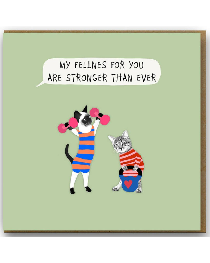 Strong Felines Card – beautiful greeting card from C&K, an independent lifestyle store in Settle.