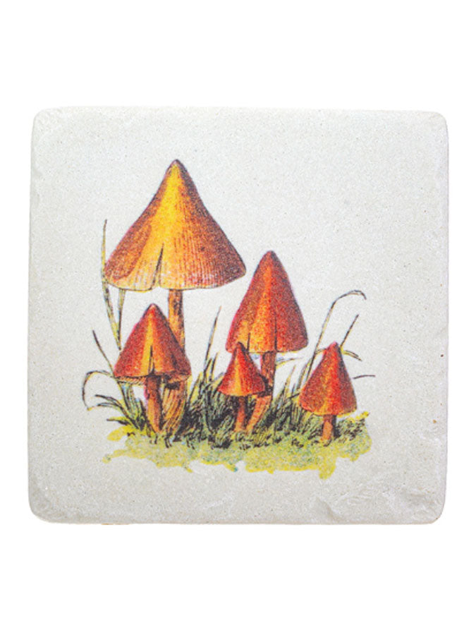 Vintage mushroom coasters – thoughtful gifts and beautiful finds from C&K, an independent lifestyle store in Settle.