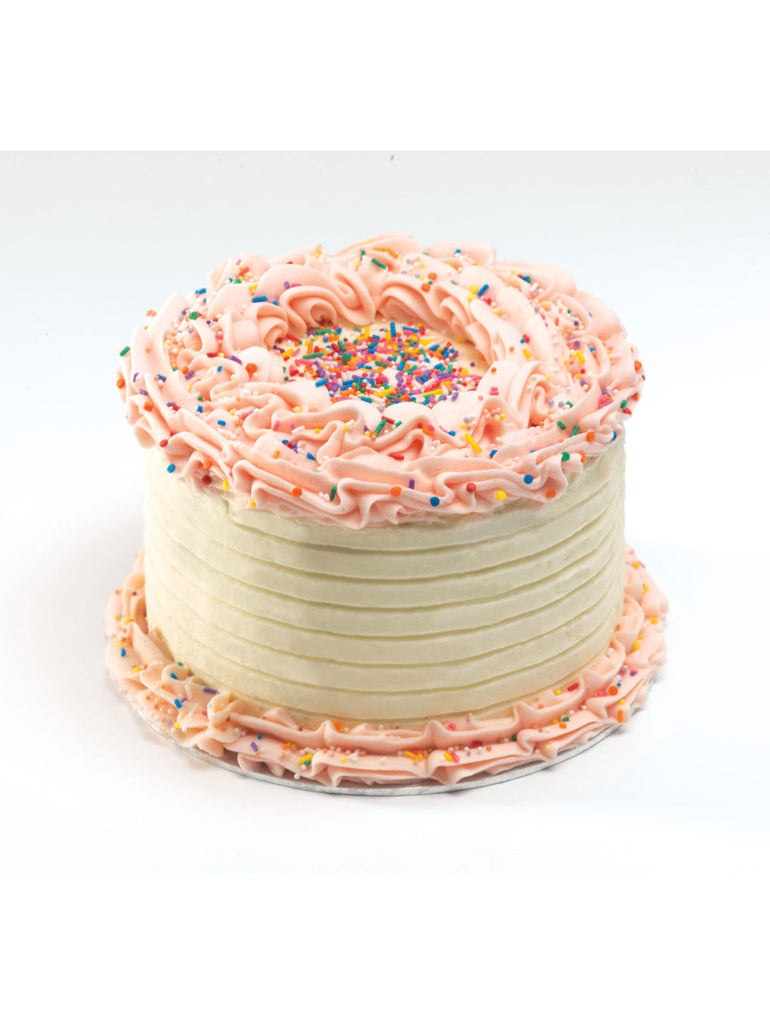 Cake Scrapers Pack of 2 - Car & Kitchen